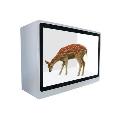 32 αρρενωπή LCD έξυπνη προθήκη οθόνης αφής ίντσας που διαφημίζει για τη λεωφόρο αγορών